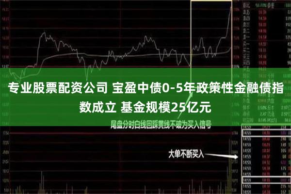 专业股票配资公司 宝盈中债0-5年政策性金融债指数成立 基金规模25亿元