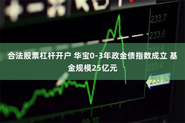 合法股票杠杆开户 华宝0-3年政金债指数成立 基金规模25亿元