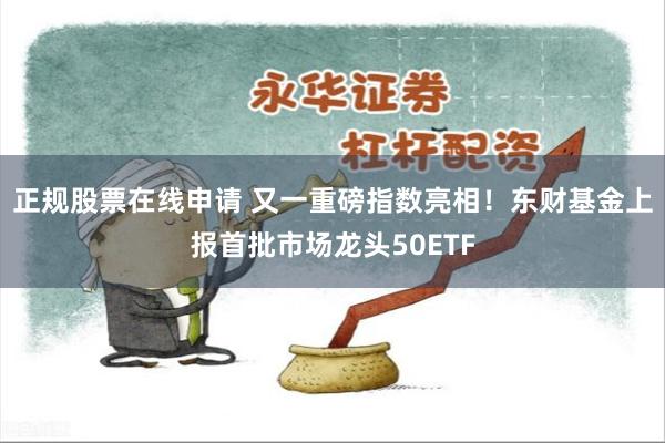 正规股票在线申请 又一重磅指数亮相！东财基金上报首批市场龙头50ETF