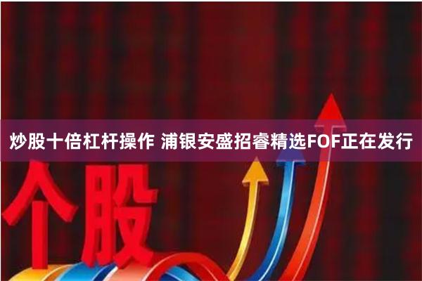 炒股十倍杠杆操作 浦银安盛招睿精选FOF正在发行