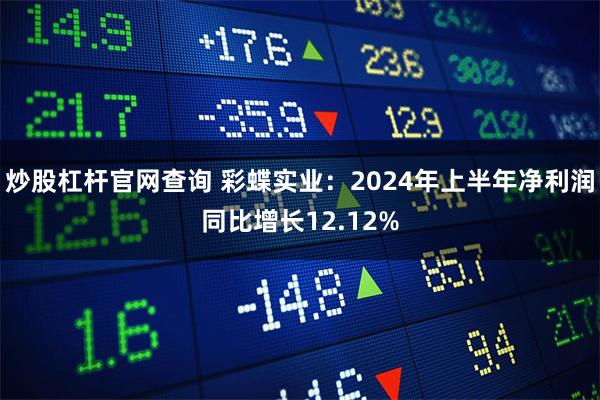 炒股杠杆官网查询 彩蝶实业：2024年上半年净利润同比增长12.12%