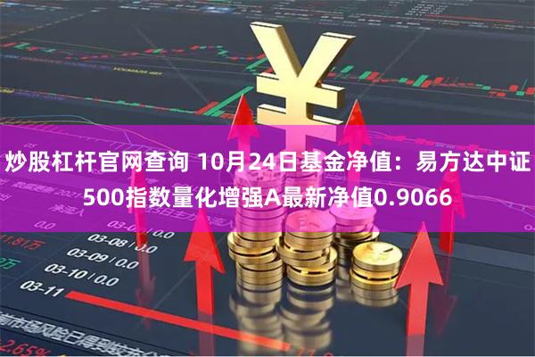 炒股杠杆官网查询 10月24日基金净值：易方达中证500